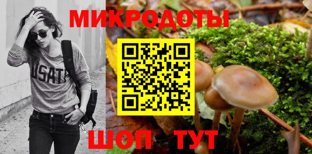 Псилоцибиновые грибы мухоморы Северск
