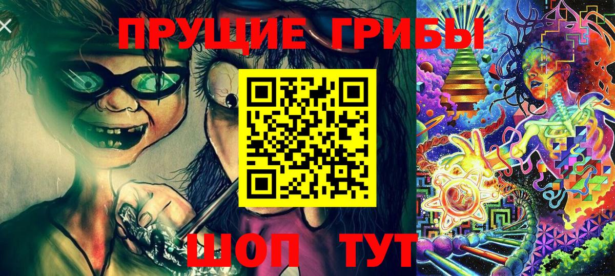 Псилоцибиновые грибы Psilocybine cubensis  Галлюциногенные грибы Psilocybe  Северск  Вход с VPN 